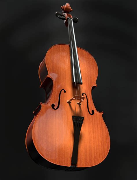 fotos violonchelo|violoncello vs cello.